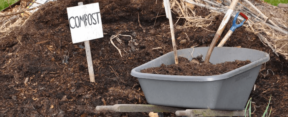 Ask A Master Gardener – Fall Cleanup