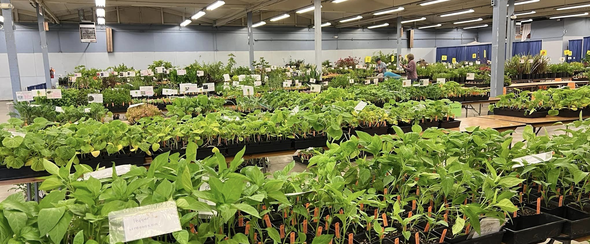 Now Accepting Applications for Vendors