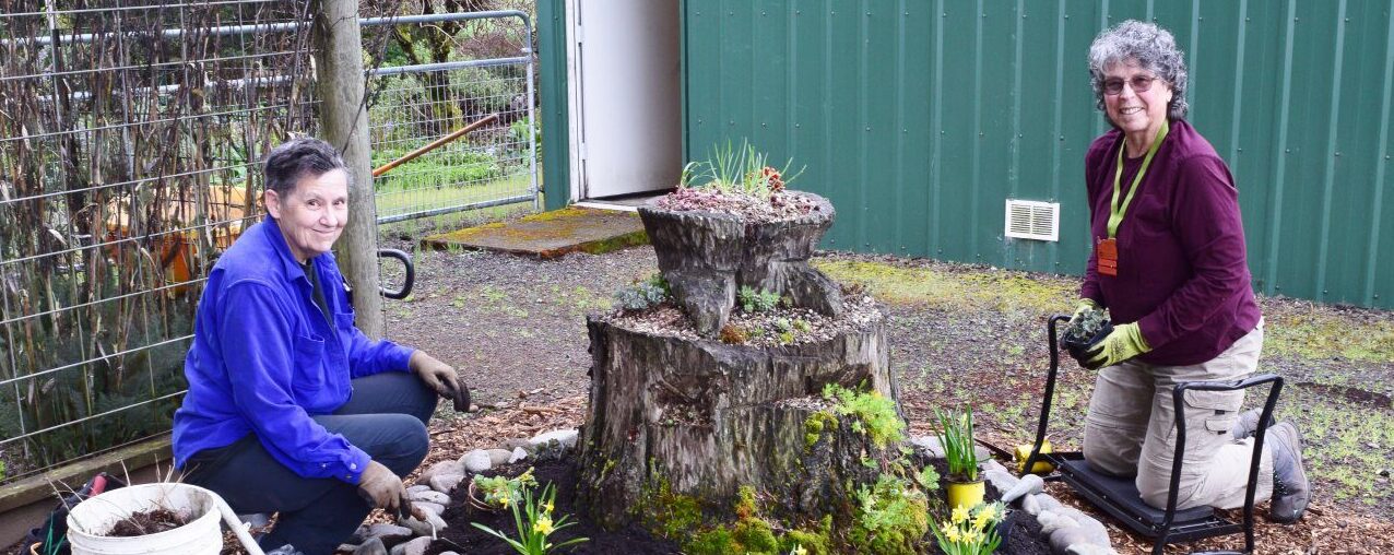 A Garden with Good Roots